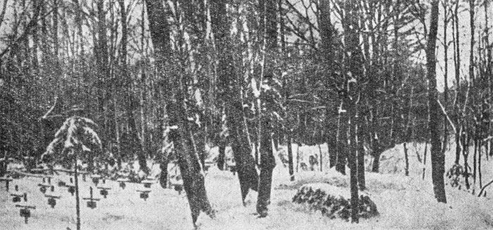 Могилы фашистских оккупантов около могилы Л. Н. Толстого. 1941 г