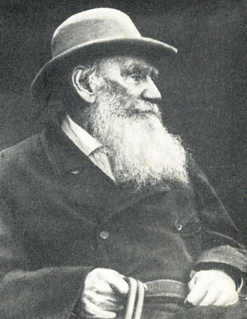 Л. Н. Толстой. 1909 г. Фотография В. Г. Черткова
